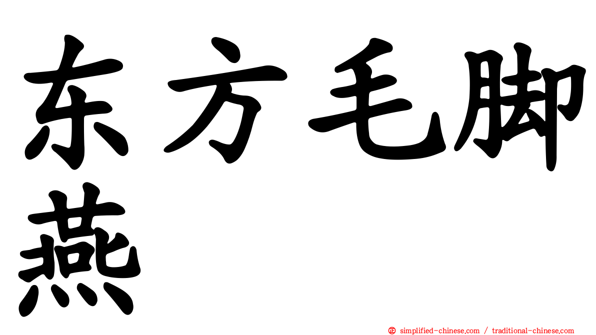 东方毛脚燕