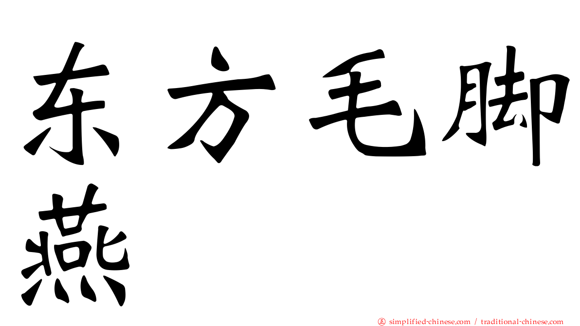 东方毛脚燕