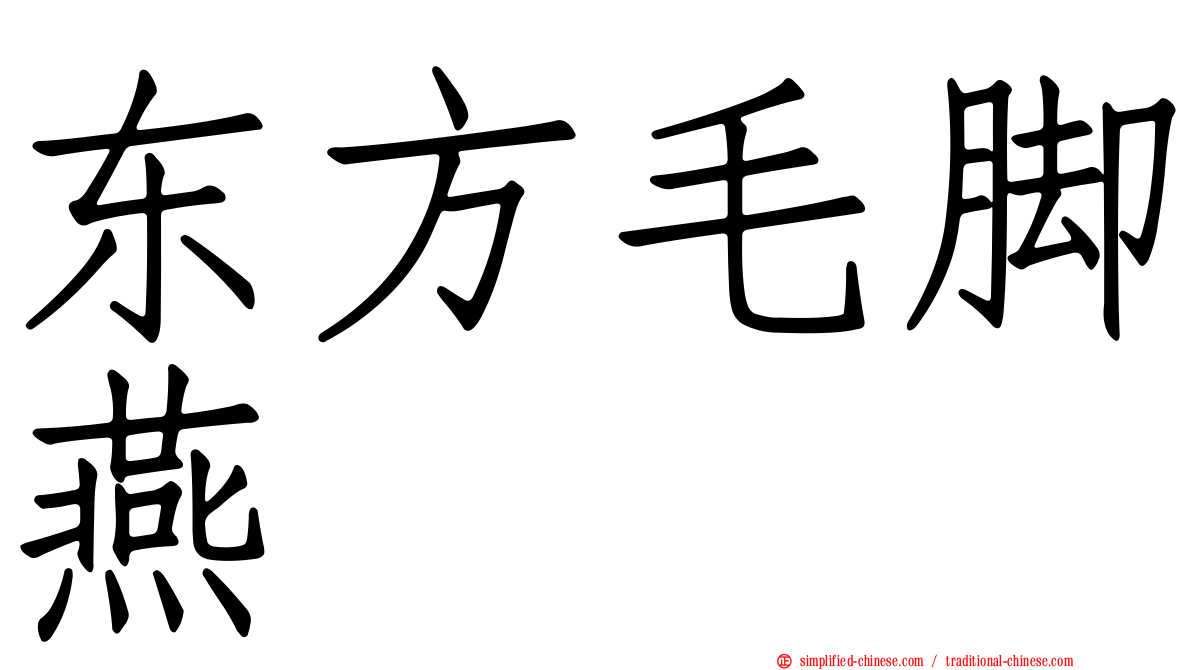 东方毛脚燕