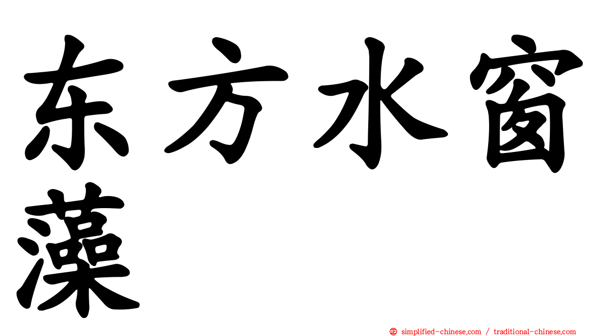 东方水窗藻