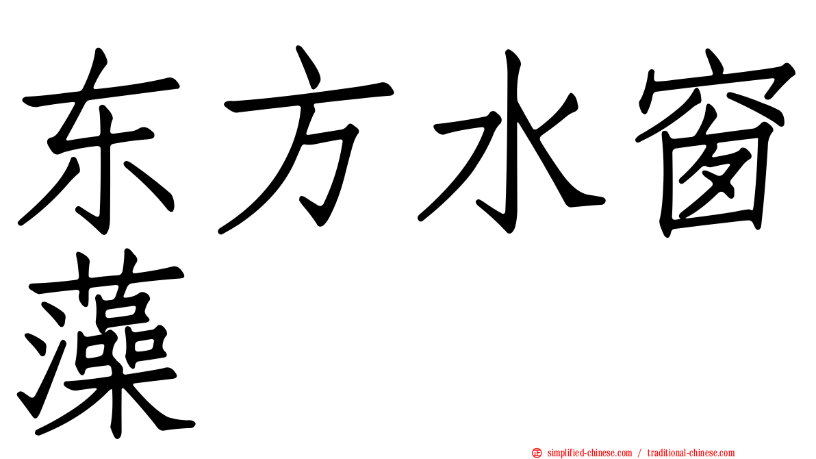 东方水窗藻