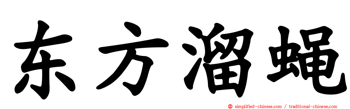 东方溜蝇