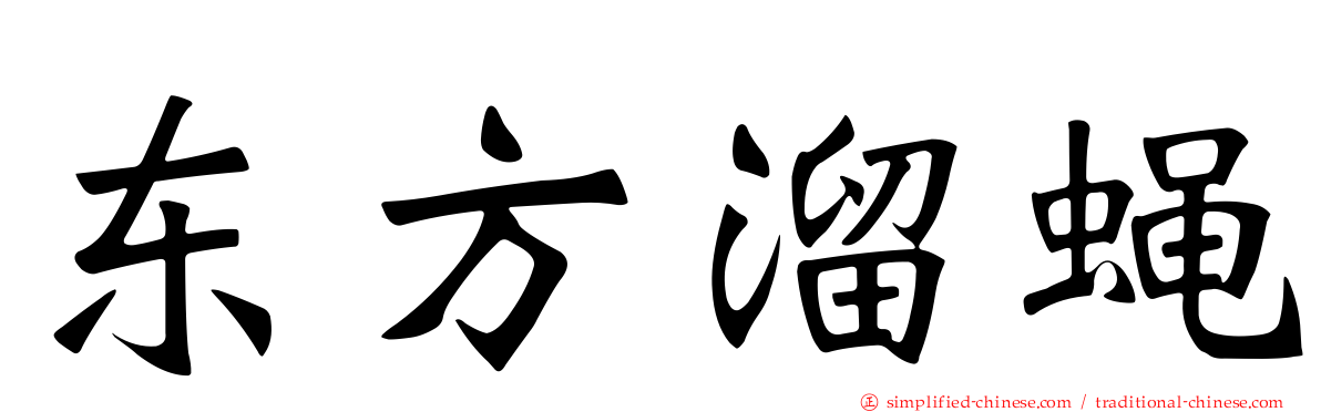 东方溜蝇