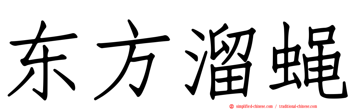 东方溜蝇