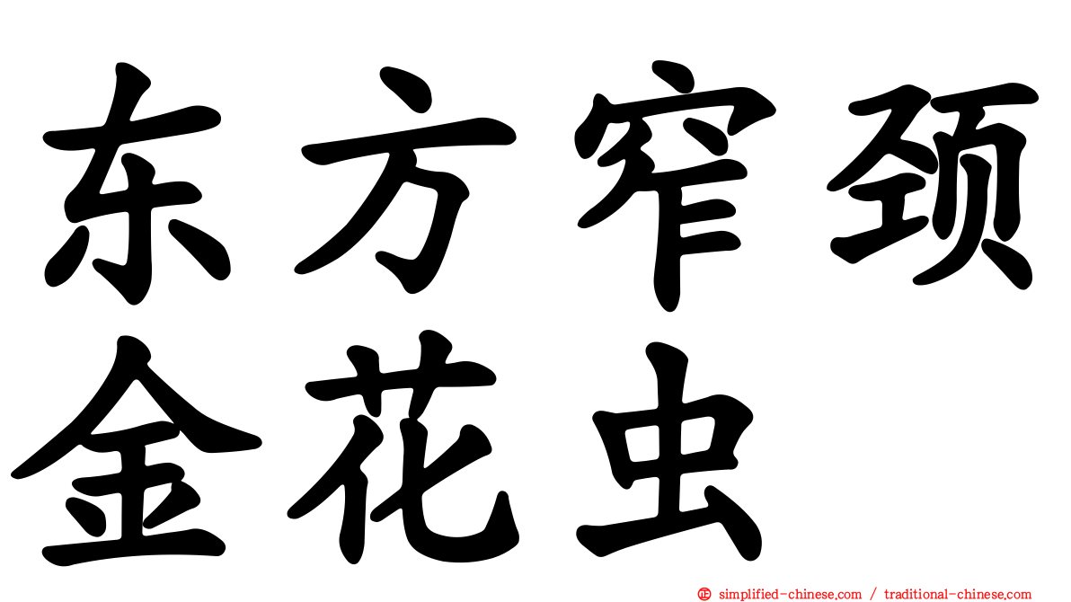 东方窄颈金花虫