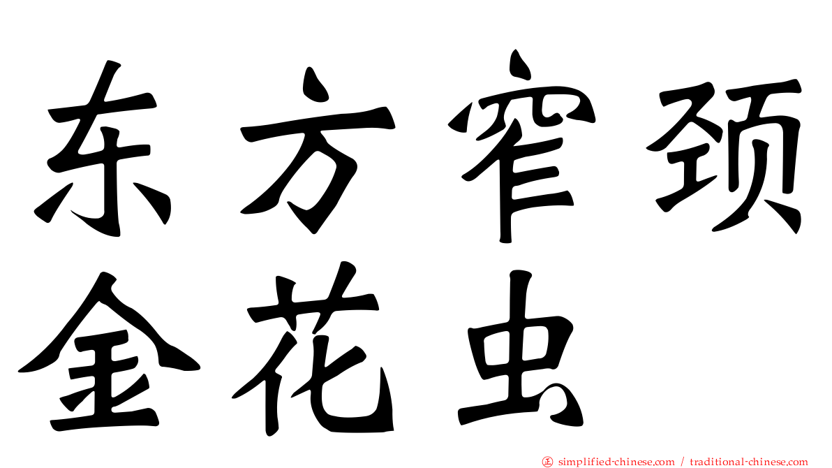 东方窄颈金花虫