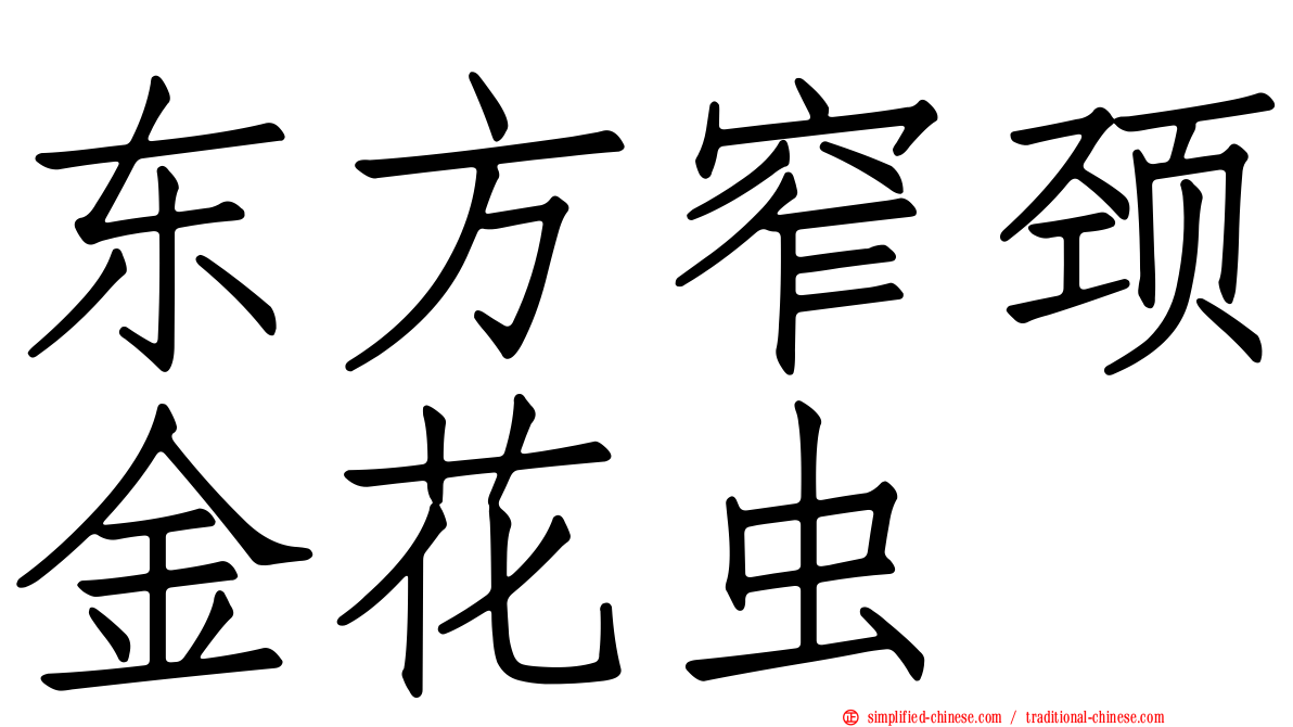 东方窄颈金花虫