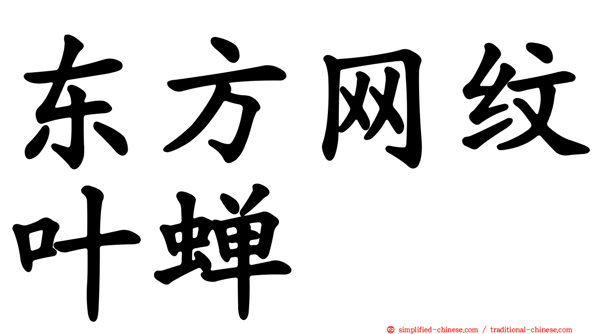 东方网纹叶蝉