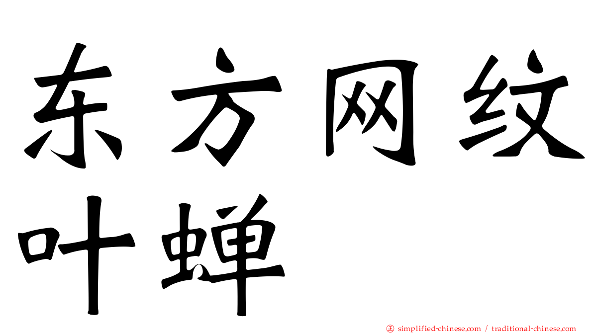 东方网纹叶蝉