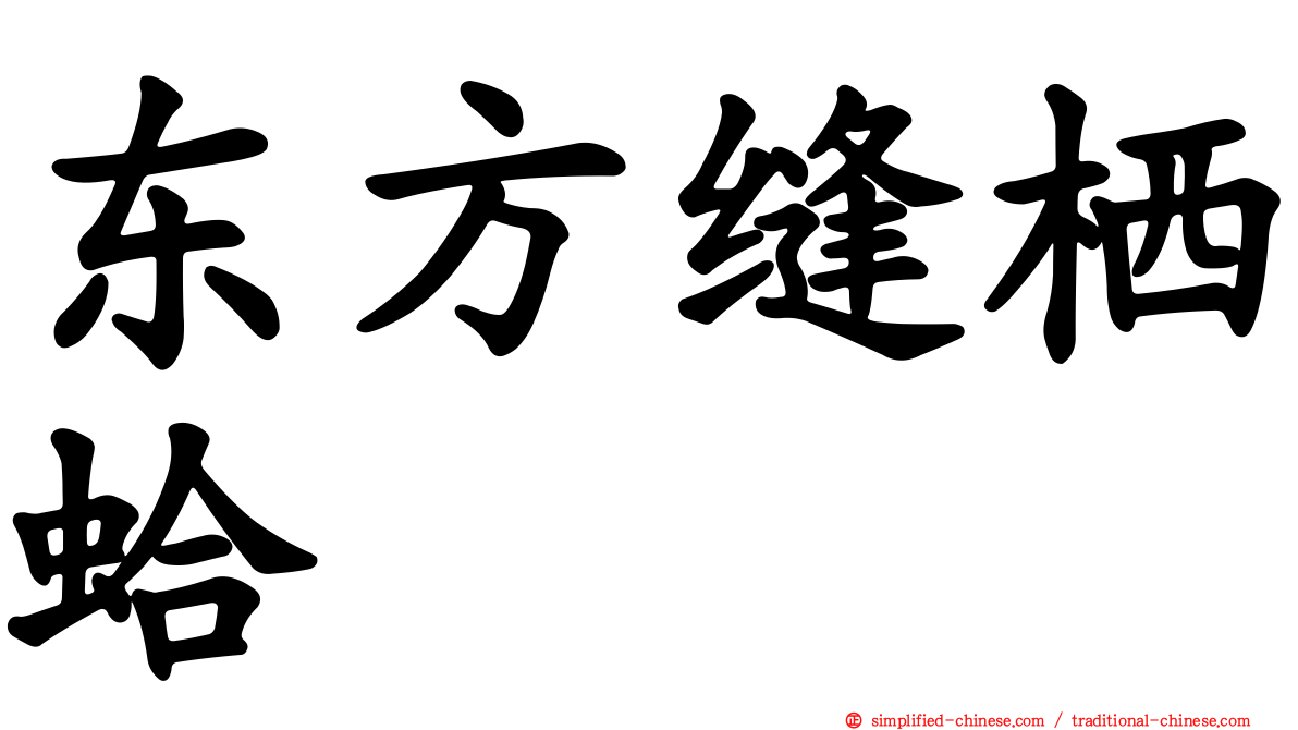 东方缝栖蛤