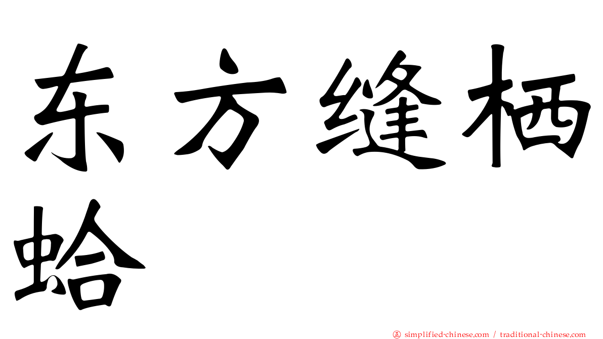 东方缝栖蛤