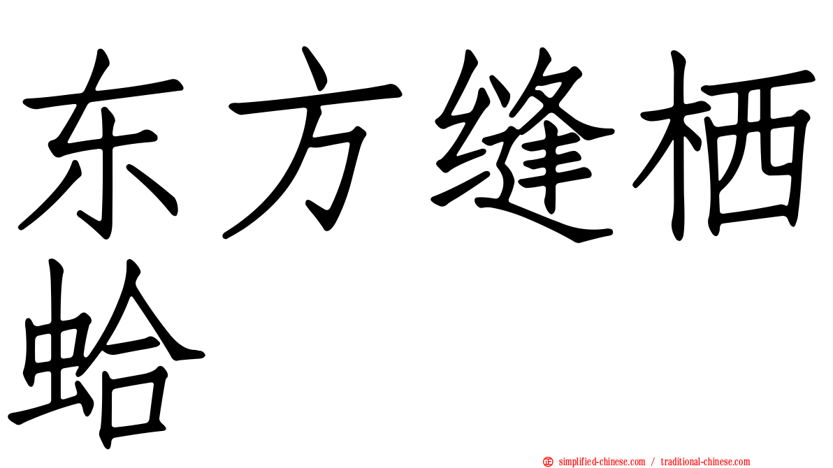 东方缝栖蛤