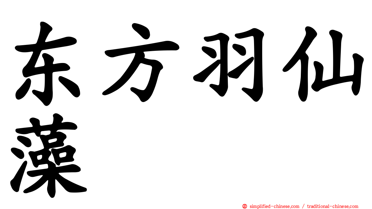 东方羽仙藻