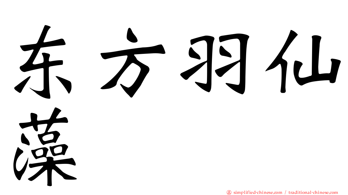 东方羽仙藻