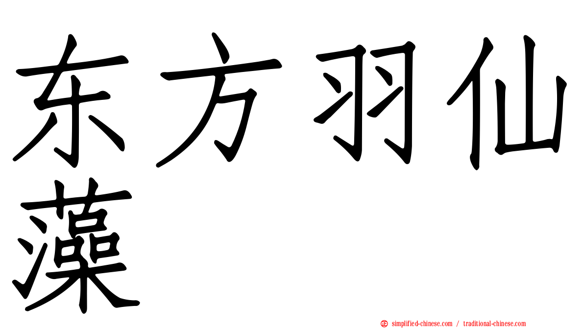 东方羽仙藻