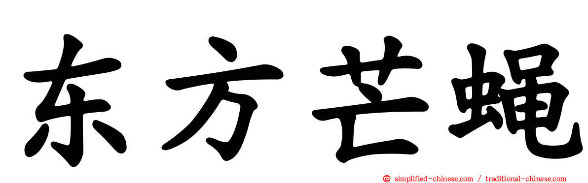 东方芒蝇