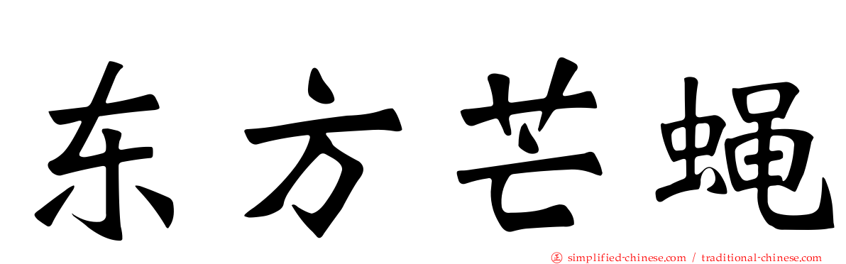 东方芒蝇
