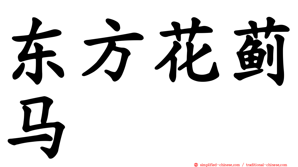 东方花蓟马