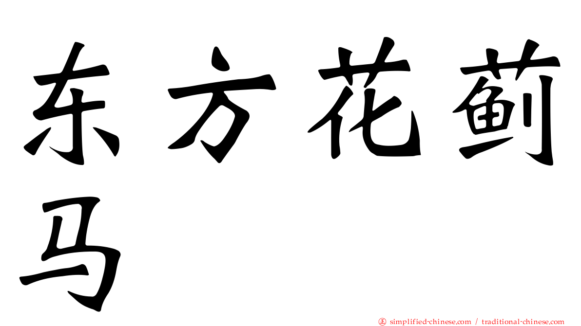 东方花蓟马