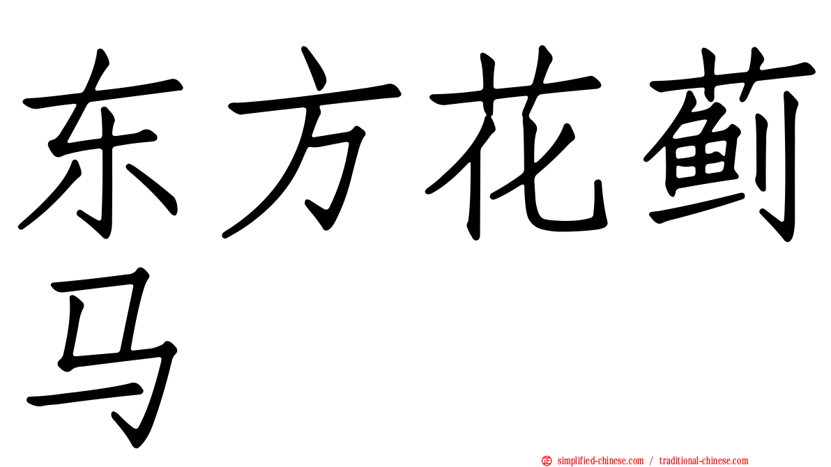 东方花蓟马