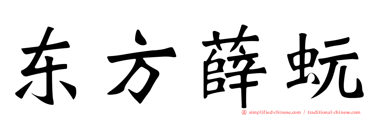 东方薛蚖