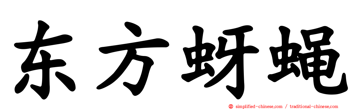 东方蚜蝇