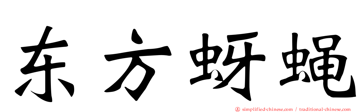 东方蚜蝇