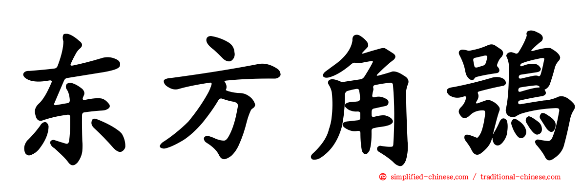 东方角鸮