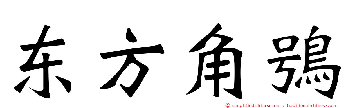 东方角鸮