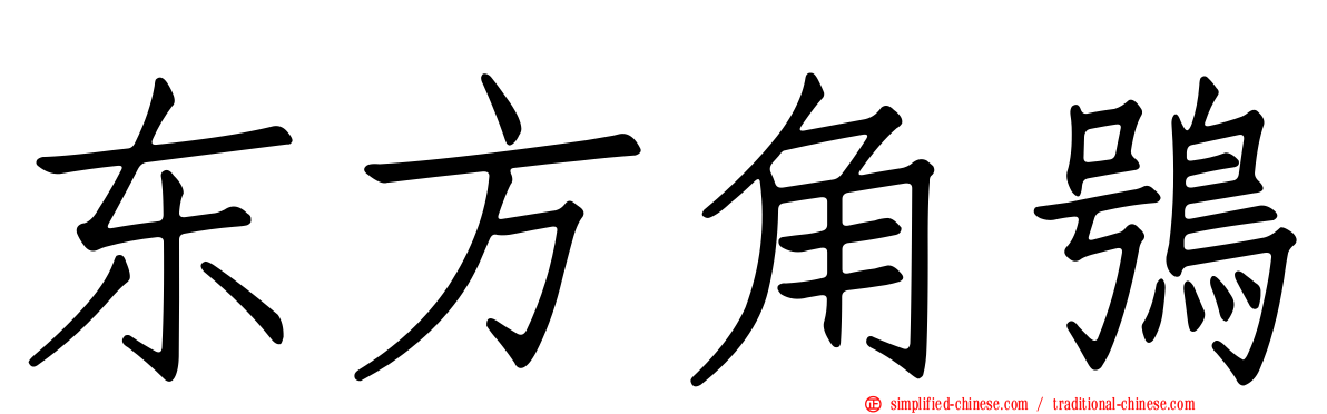 东方角鸮