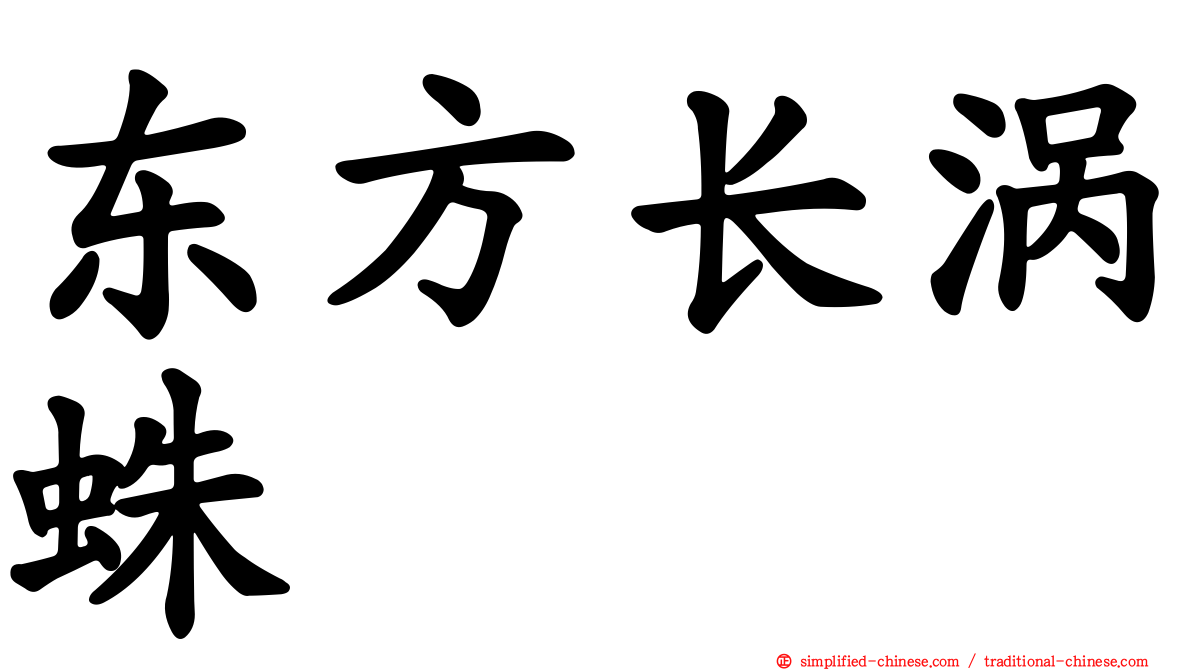 东方长涡蛛