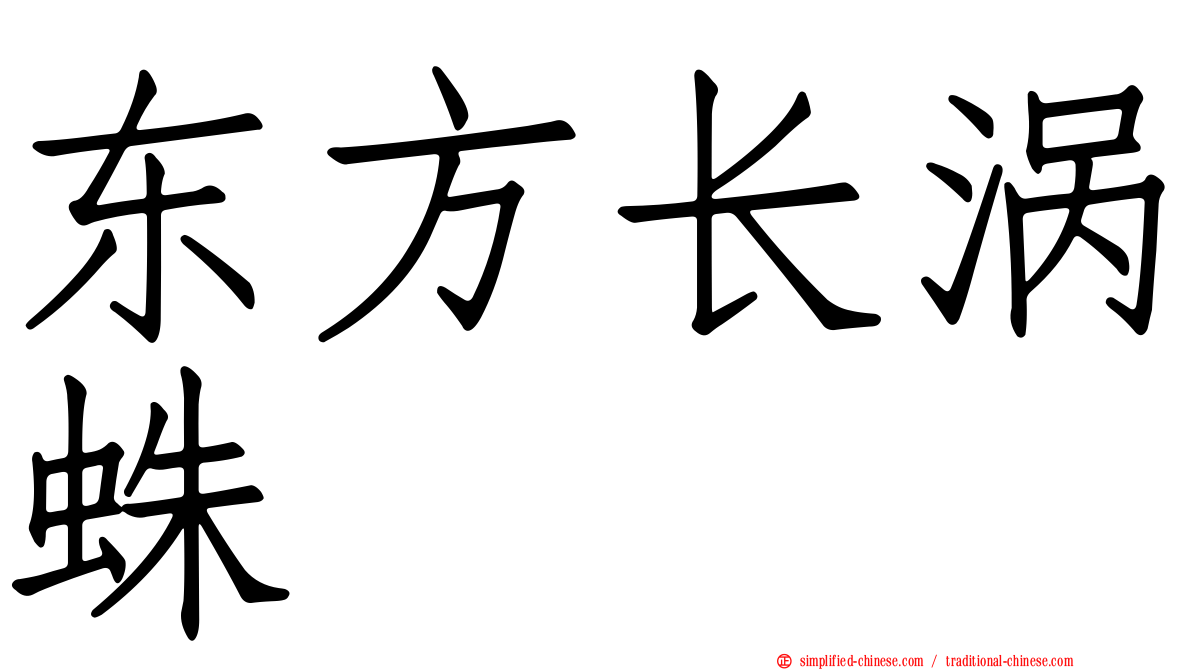 东方长涡蛛