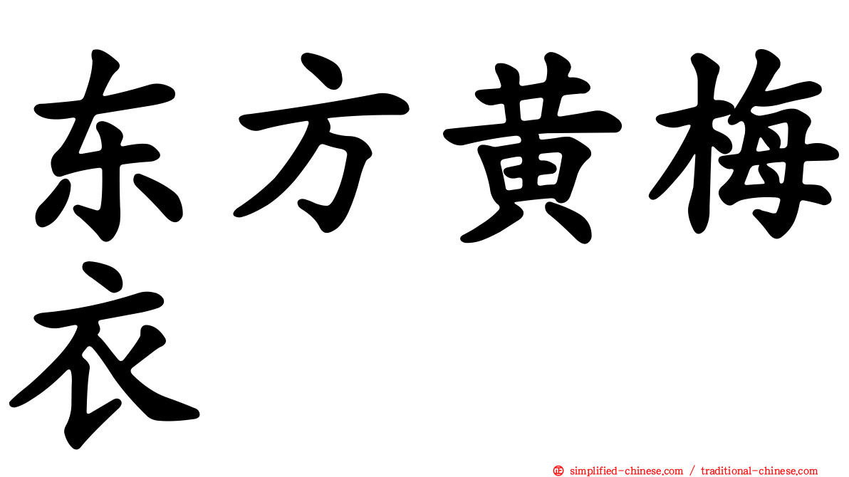 东方黄梅衣
