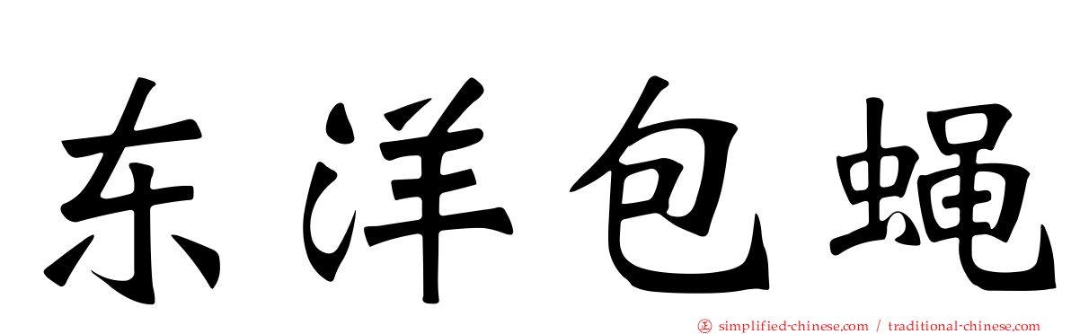 东洋包蝇