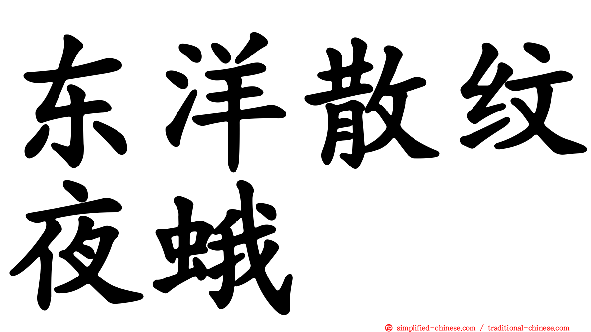 东洋散纹夜蛾