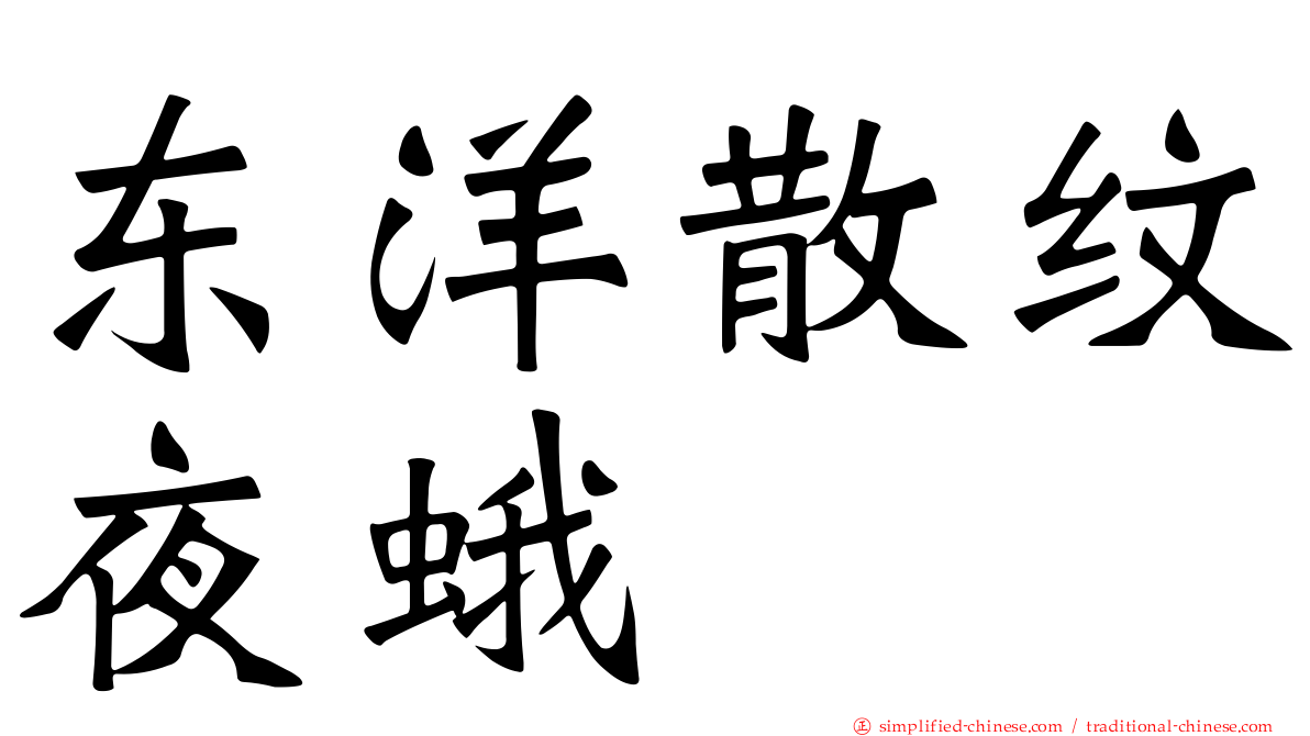 东洋散纹夜蛾