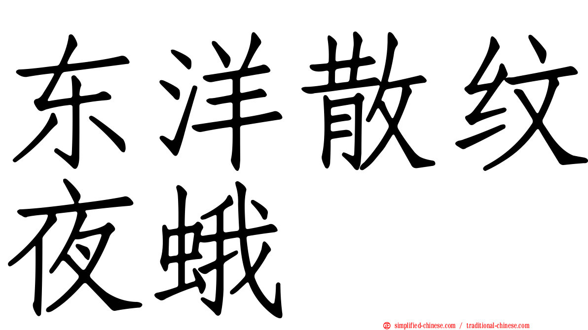 东洋散纹夜蛾