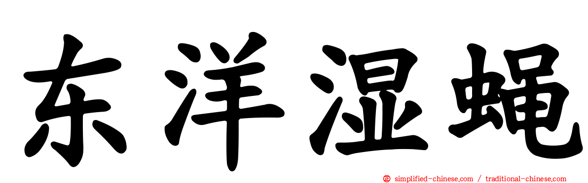 东洋湿蝇