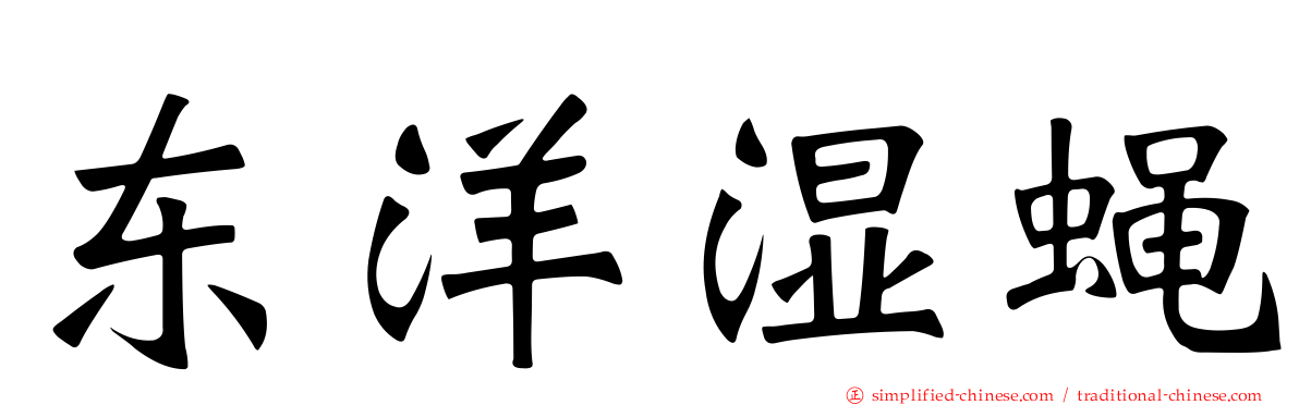 东洋湿蝇