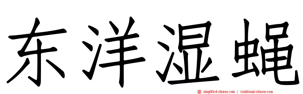 东洋湿蝇
