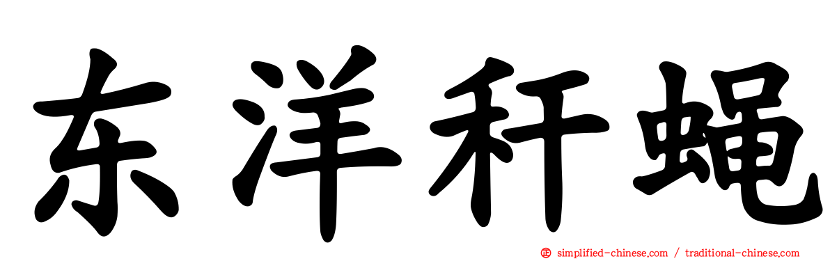 东洋秆蝇