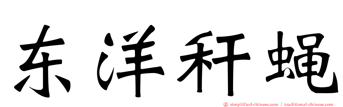 东洋秆蝇