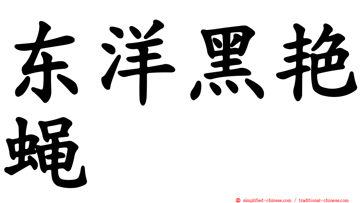 东洋黑艳蝇