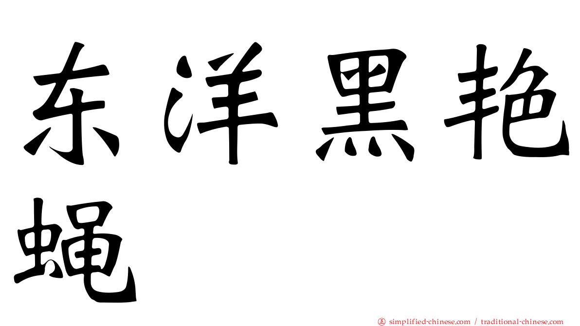 东洋黑艳蝇