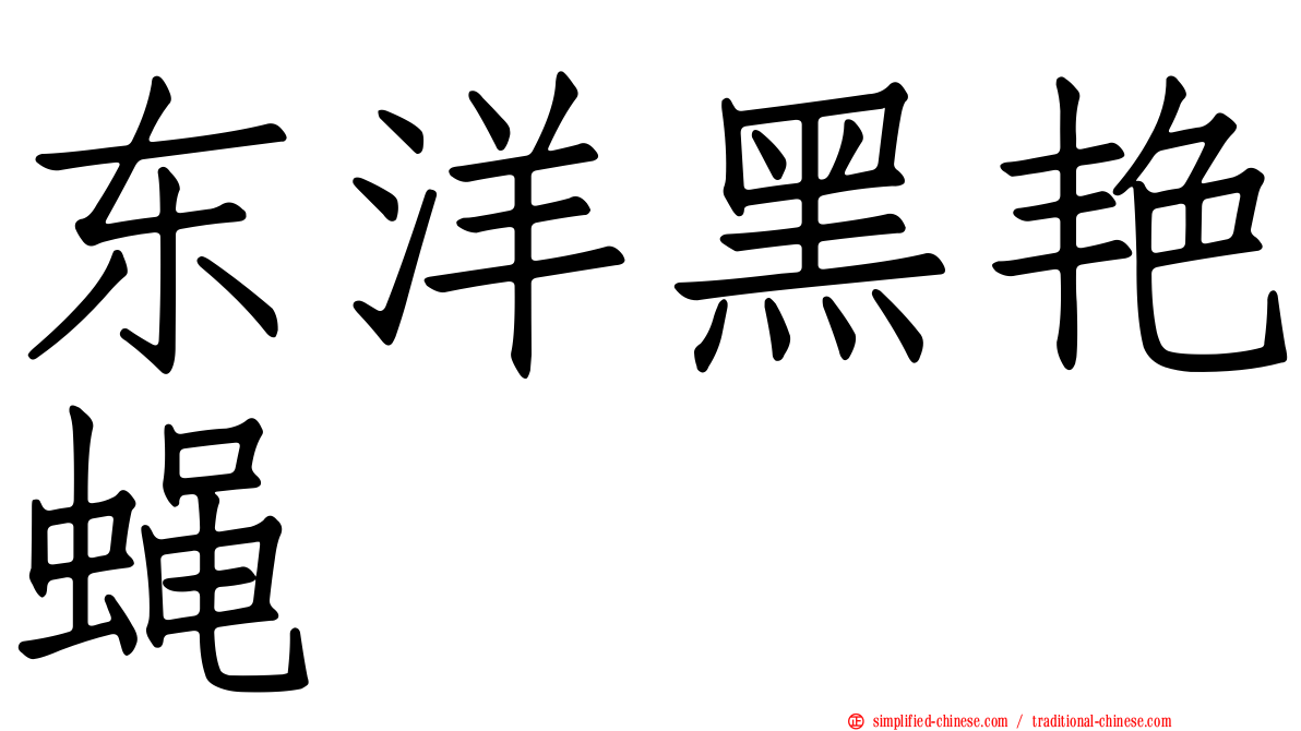 东洋黑艳蝇