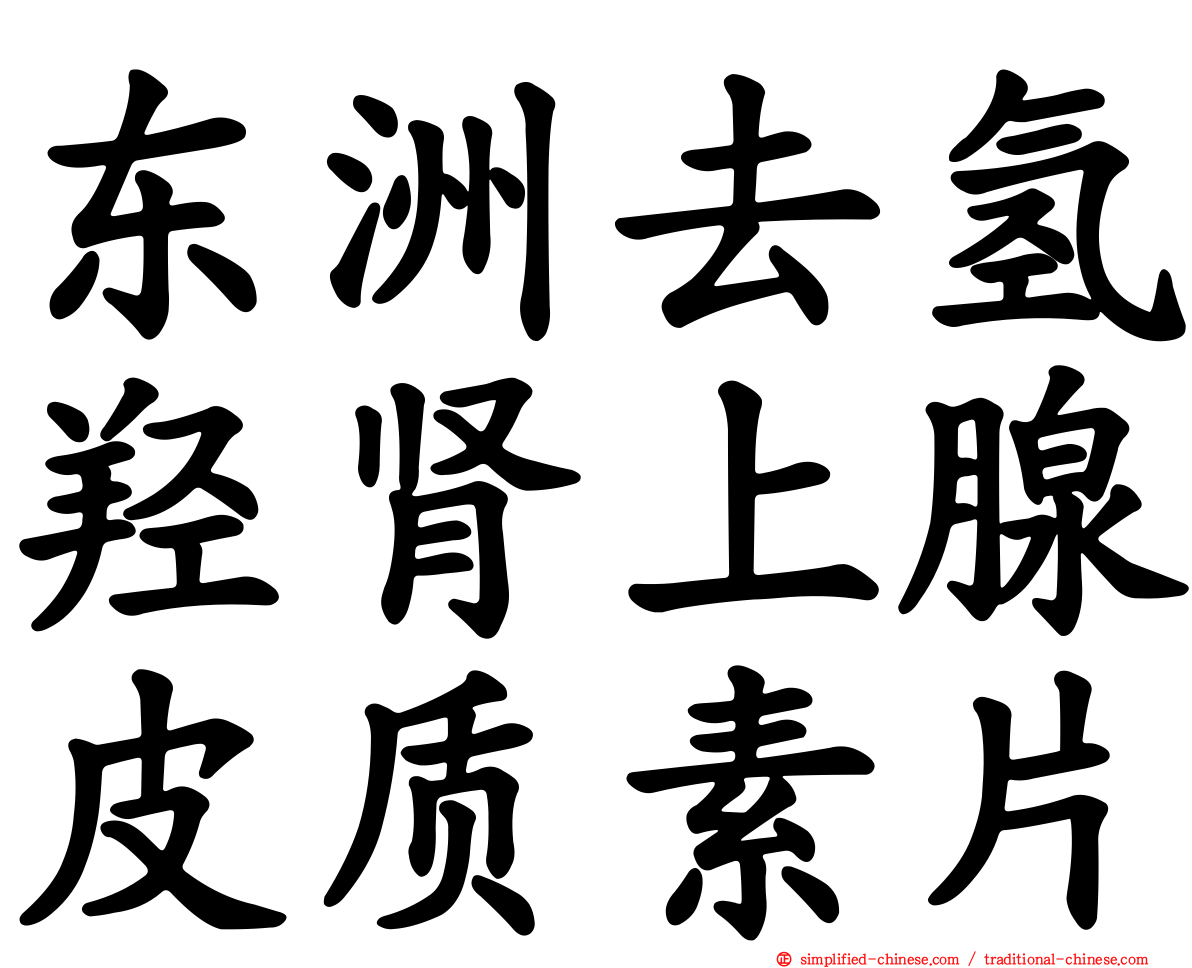 东洲去氢羟肾上腺皮质素片