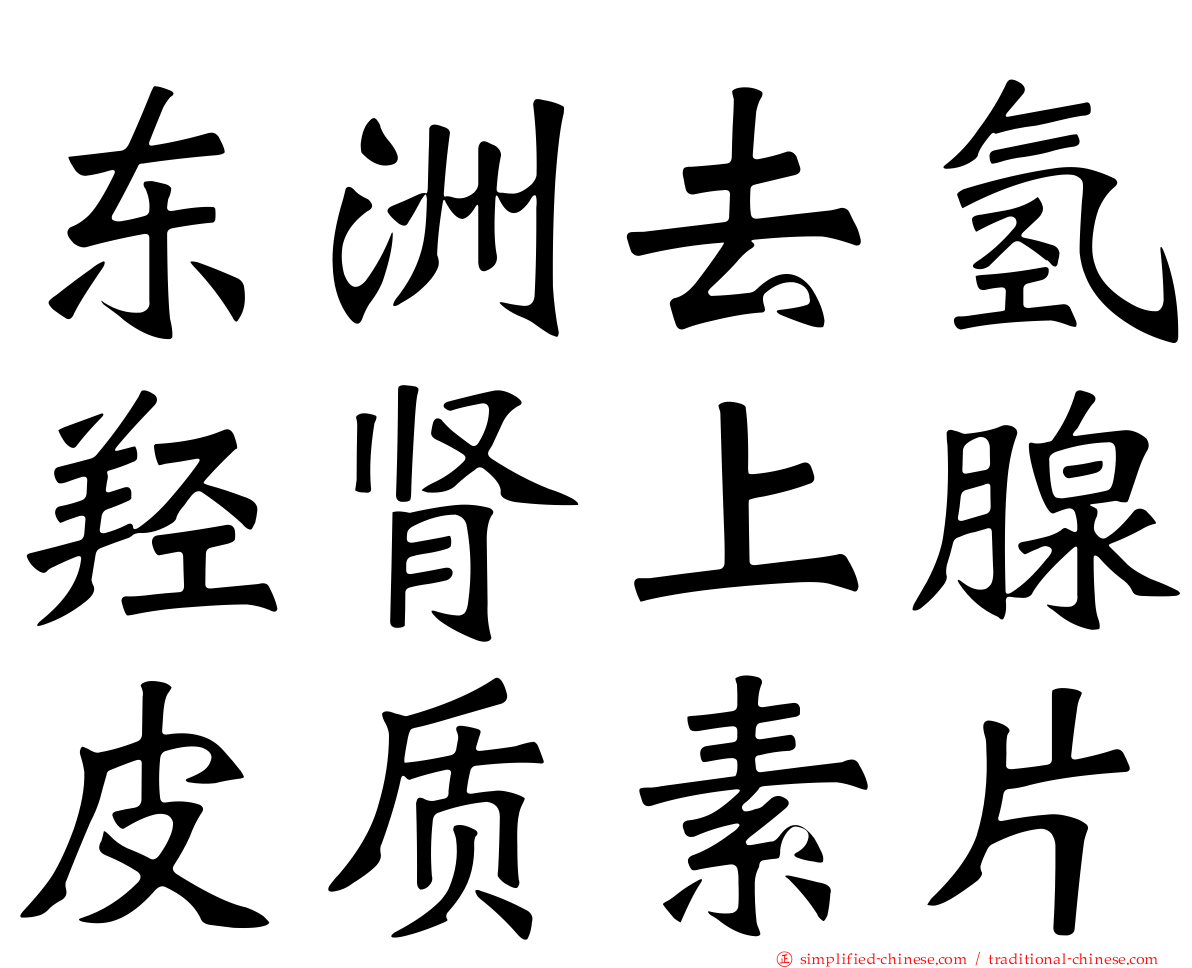 东洲去氢羟肾上腺皮质素片