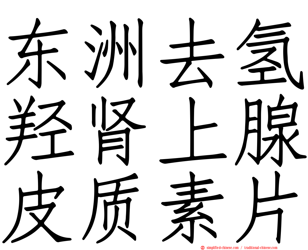 东洲去氢羟肾上腺皮质素片