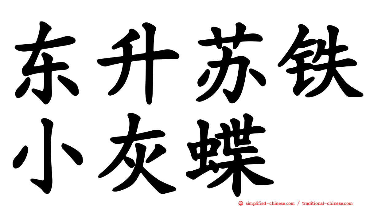 东陞苏铁小灰蝶