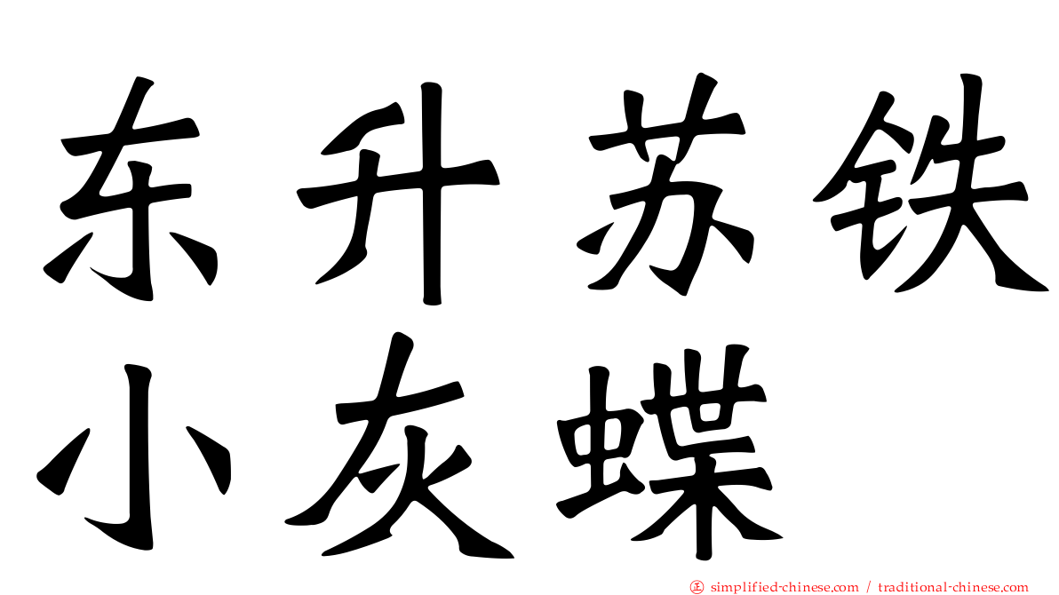 东陞苏铁小灰蝶